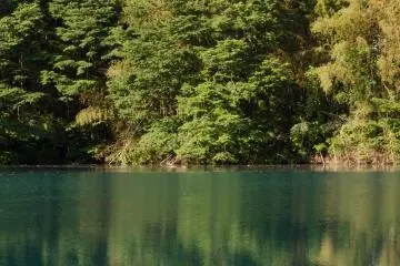 Reflection on the lake