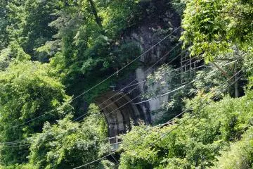 Agatsuma line