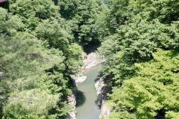 A view from the bridge