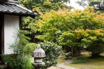 It's late October; leaves are starting to change color