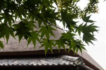 It must be beautiful here during autumn