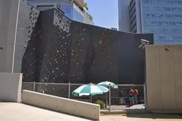 The rock climbing wall