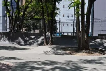 The trees providing some much needed shade
