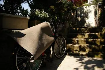 Does every person in Tokyo own a bicycle?