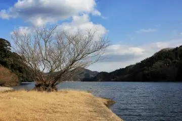 มองไปยังเขื่อนทางทิศตะวันออก