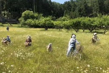Family in the field