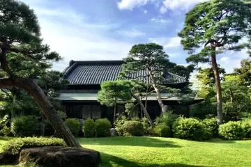 The garden on a sunny afternoon (Photo: Elizabeth Scally)