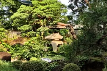 The dry landscape garden