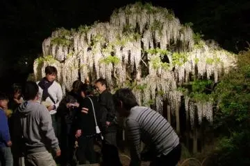 <p>ในบรรยากาศเย็นฉ่ำยามค่ำคืน ผู้มาเยือนดูผ่อนคลายมากกว่า</p>