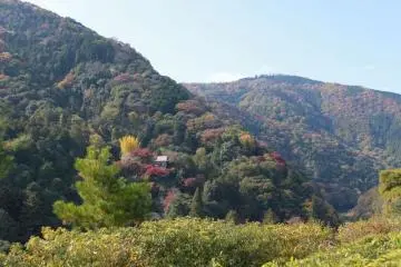 Nestled in the hills, a tiny shrine