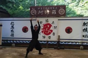 Ninja show