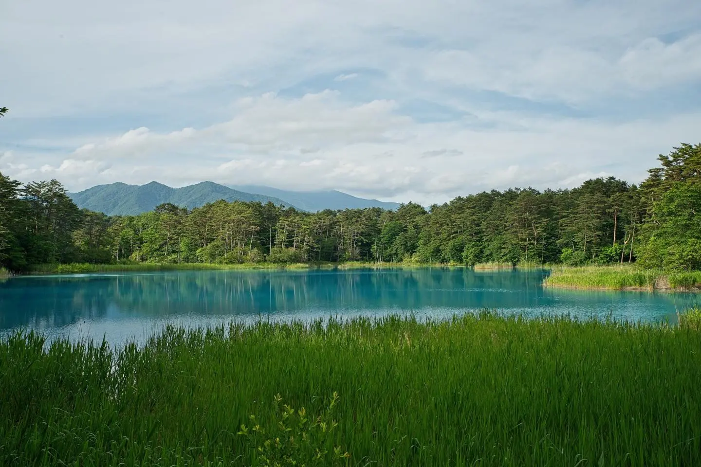 The Amazing Hues of Goshikinuma
