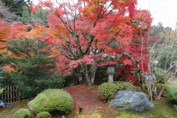 <p>En choisissant une chambre de style japonais, voici ce &agrave; quoi vous aurez droit</p>