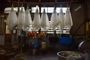 You get a real behind the scenes look into the process of making sake