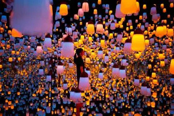 Forest Of Lamps