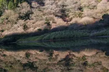 Like a mirror