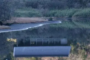 Museum at the end of the pond