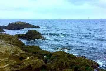 Ocean view 