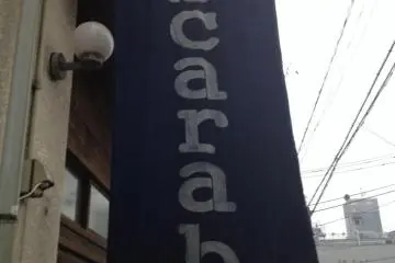 Scarab