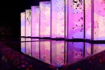 A display of goldfish echoing Edo-style aesthetics