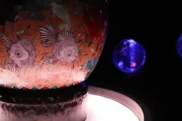 The details in one of the vases that house the fishes