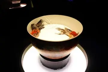 Get up close and personal with the fishes