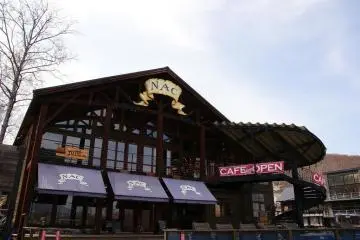 Cafe on the upper floor of Niseko Adventure Centre