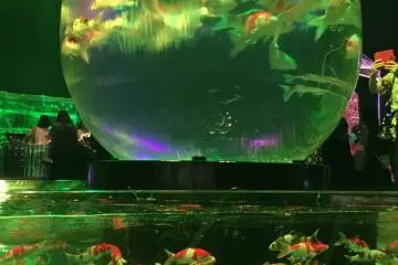 The play of lights on the water creates a mystical feel. 