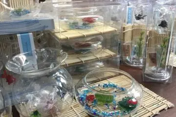 Recreate the coolness of the aquarium in your own home. 