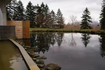 Surrounded by nature as you soak