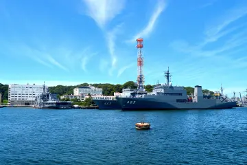 We saw many navy vessels 