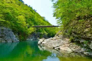 상쾌한 산 공기