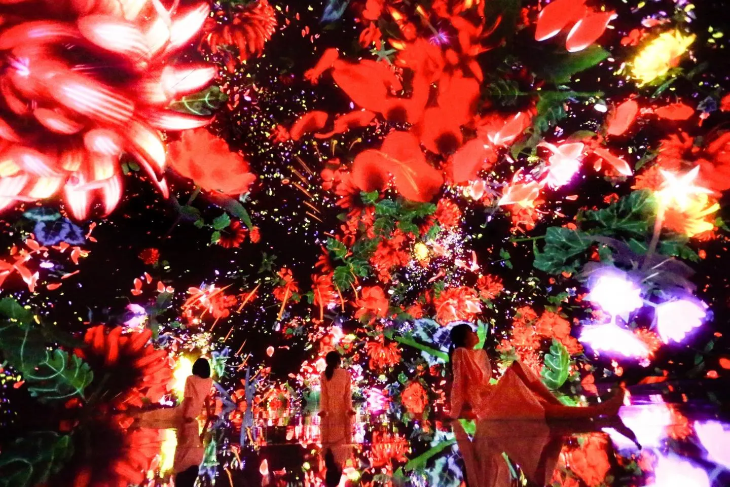 Floating in the Falling Universe of Flowers // teamLab, 2016-2018 (Photo: teamLab Planets TOKYO)