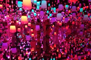 A Visit to TeamLab Borderless