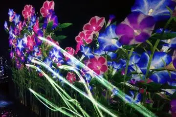 Flower forest