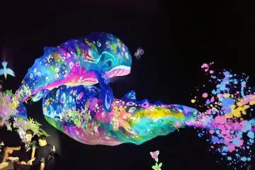 Listening to the whales