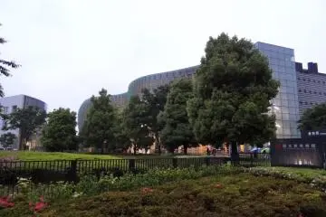 Surrounded by greenery, The National Art Center, Tokyo, is just about an 8-minute walk away from Roppongi Hills. Discover one of the museum's that form the Art Triangle Roppongi