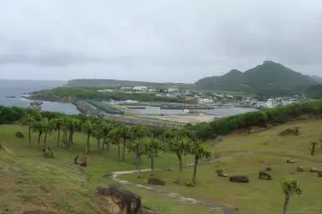 <p>Beautiful scenery of the island from the hill</p>