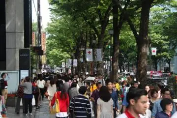 Cat Street, Harajuku/Omotesando