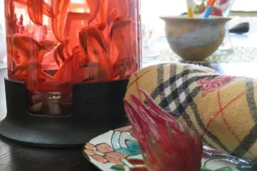Hibiscus tea is medicine in Okinawa
