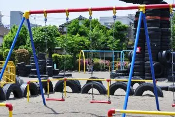 The swings