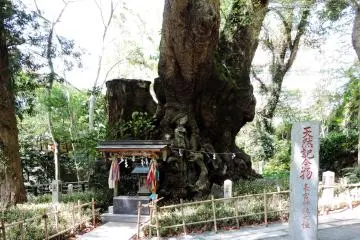 Pray here before you take the path around the tree