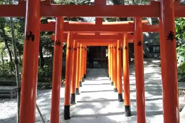 A path through red torii leading to a small Inari shrine