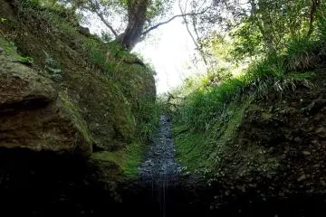 Spring water spilling from above