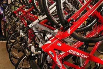 Rhythm's fleet of rentals