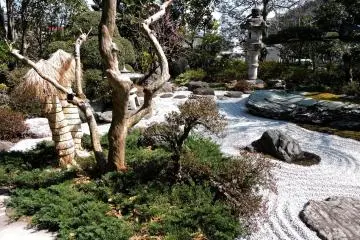 The dry garden