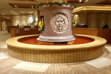 The foot bath in the central lounge