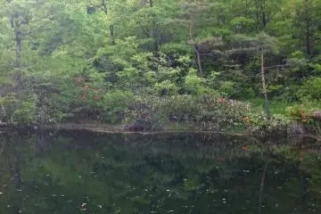 Small pond in the mountains