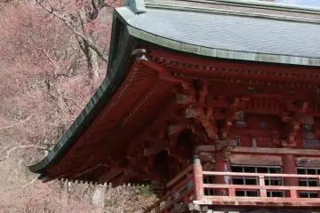 <p>The temple in early May</p>
