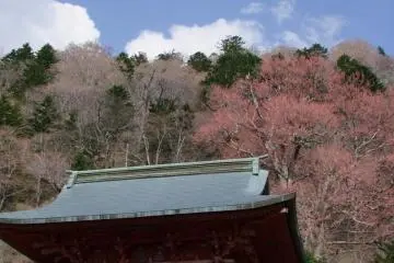 <p>One of the most picturesque temples&nbsp;in Japan</p>